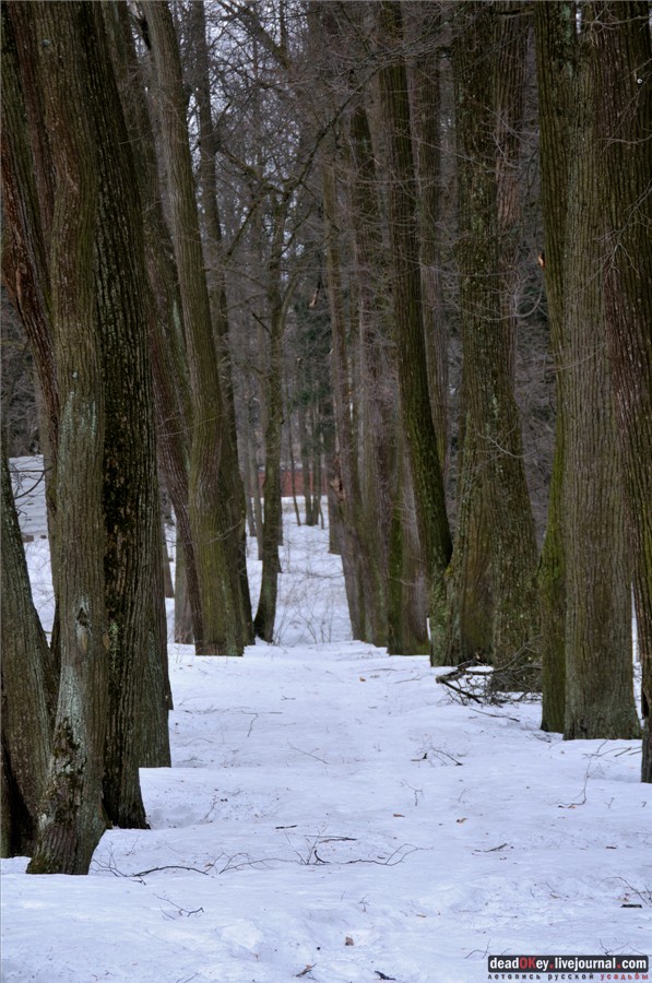 усадьба Воробьево