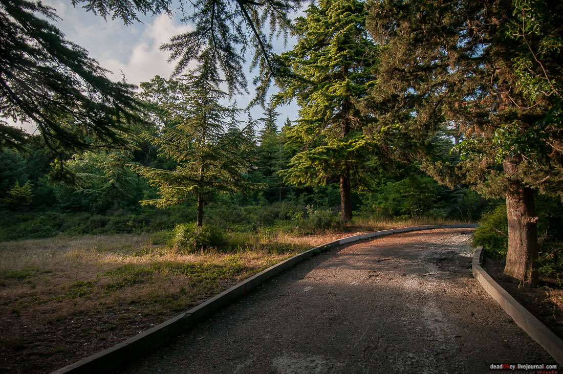 усадьба Романтическая Александрия (Ясная Поляна, Гаспринский дворец в Крыму)