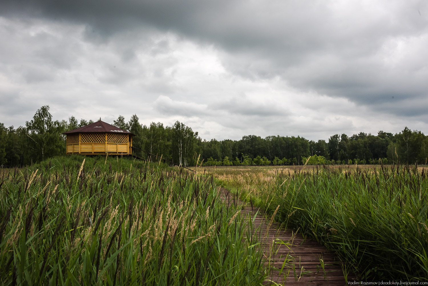 Лосиный остров