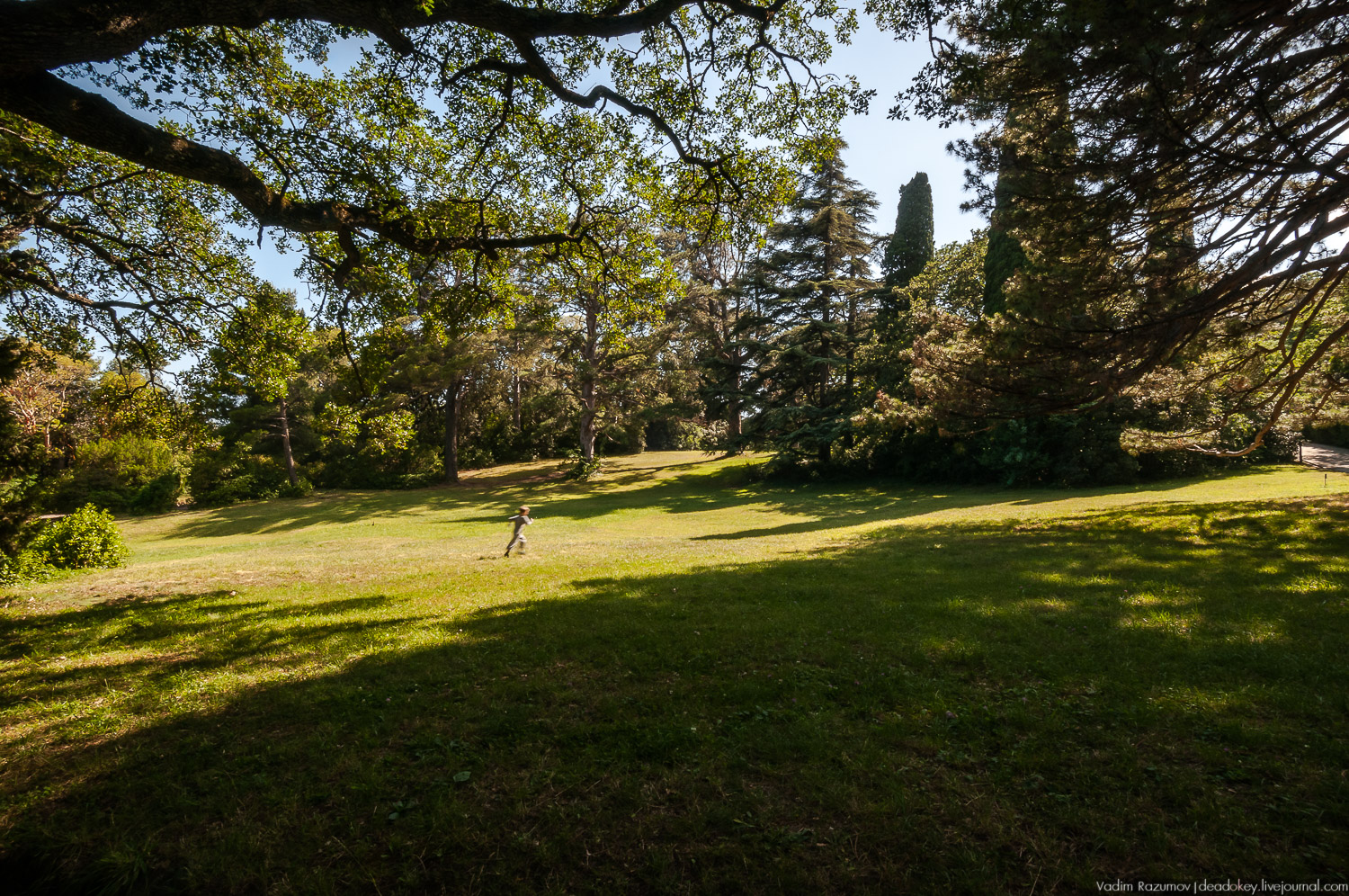 Алупка, Воронцовский дворец, Крым