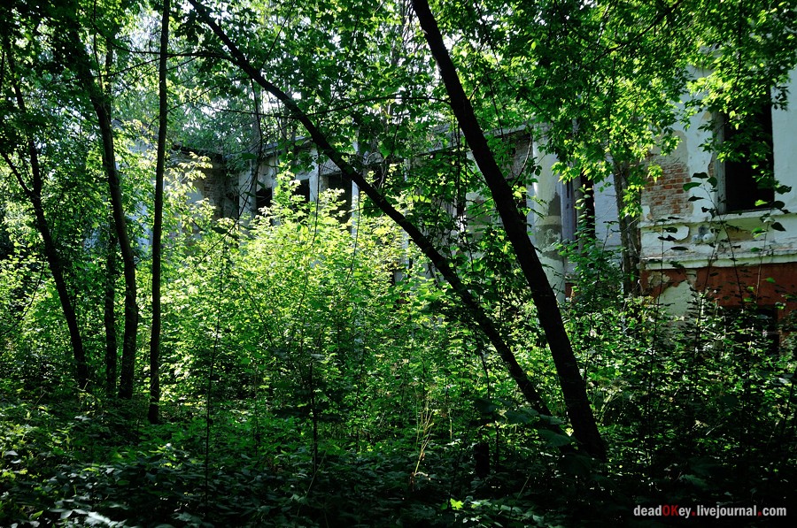 усадьба Никольское-Урюпино
