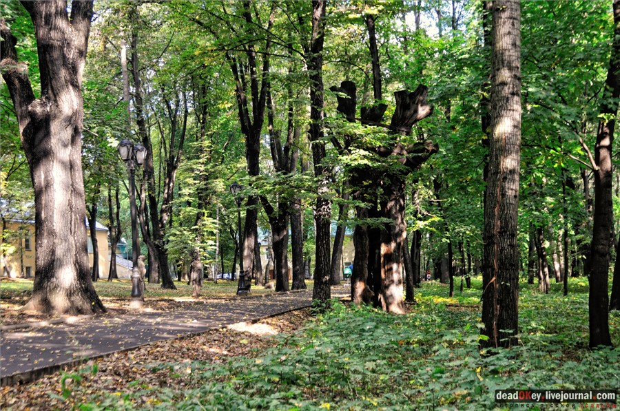 усадьба Высокие Горы (Усачевых-Найденовых), Москва, Земляной Вал, 53