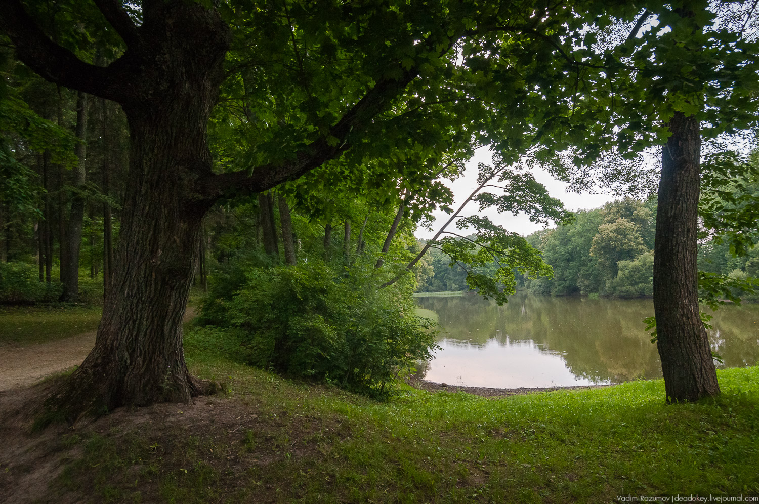 усадьба Спасское-Лутовиново И.С. Тургенева, юбилей Тургенева 200 лет, Орловская область