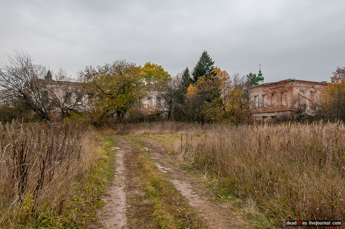 Усадьба Молоди