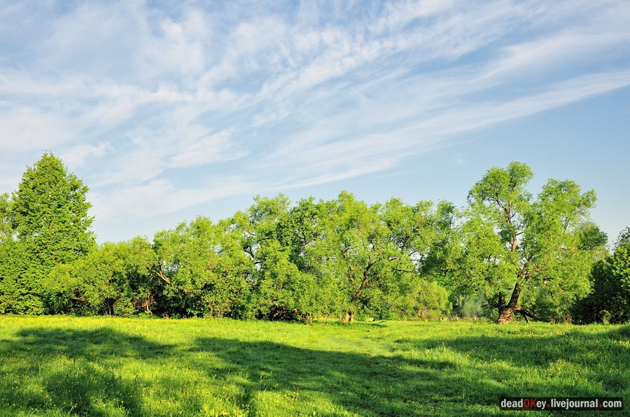 усадьба Прохорово
