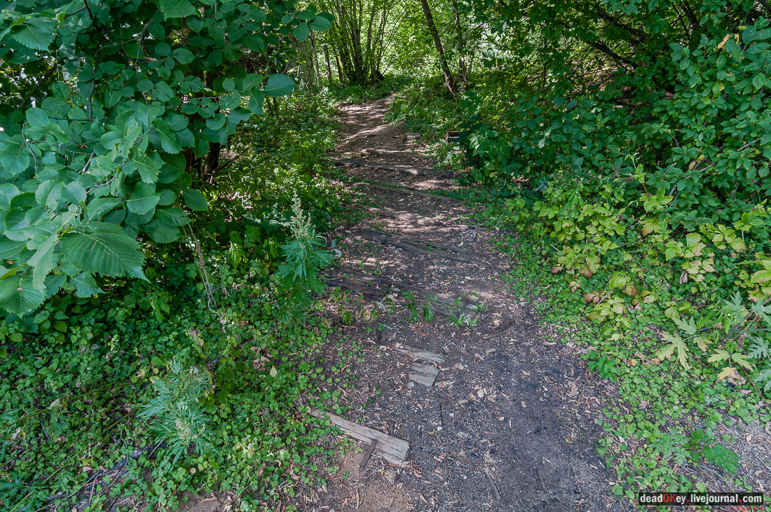 Фабрика Ягужинского, Павловская Слобода, пожар