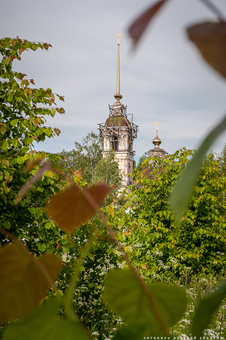 усадьба Спас-Угол