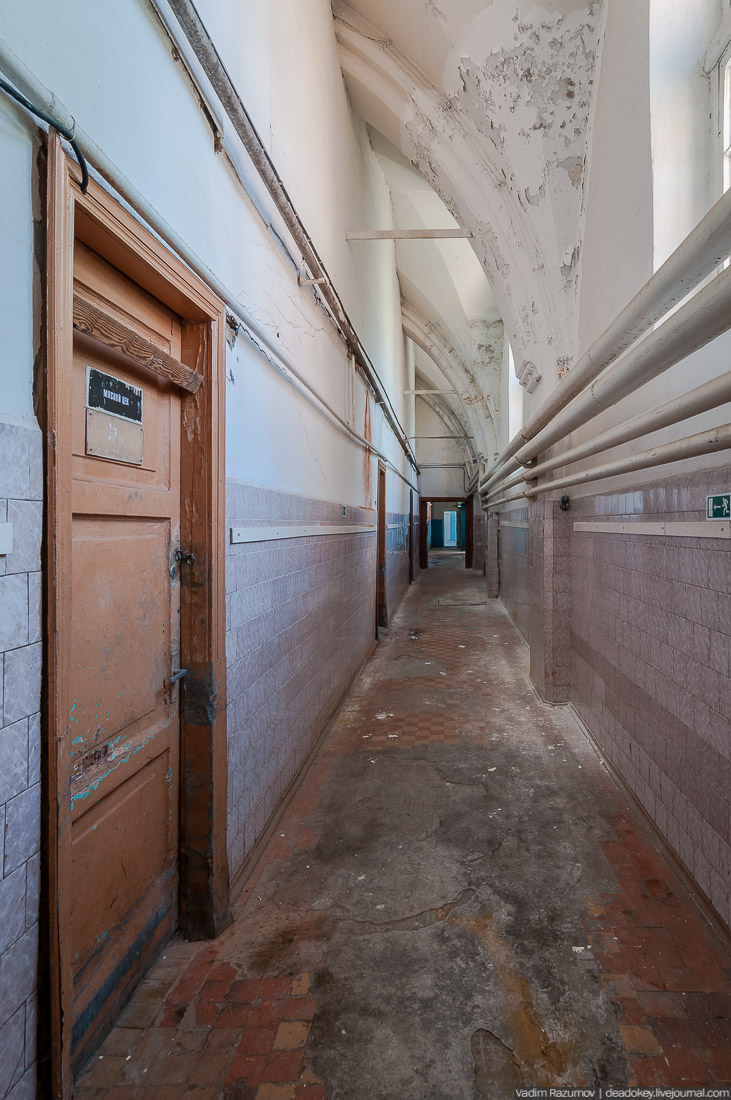 Петергофские конюшни