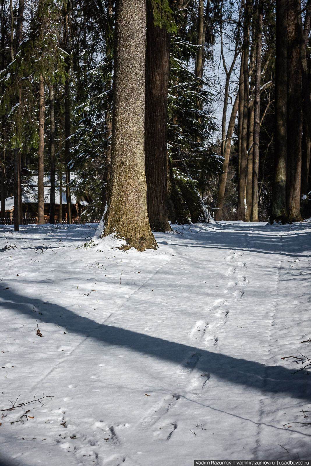 усадьба Абрамцево, 2020 год, зима, последний снег