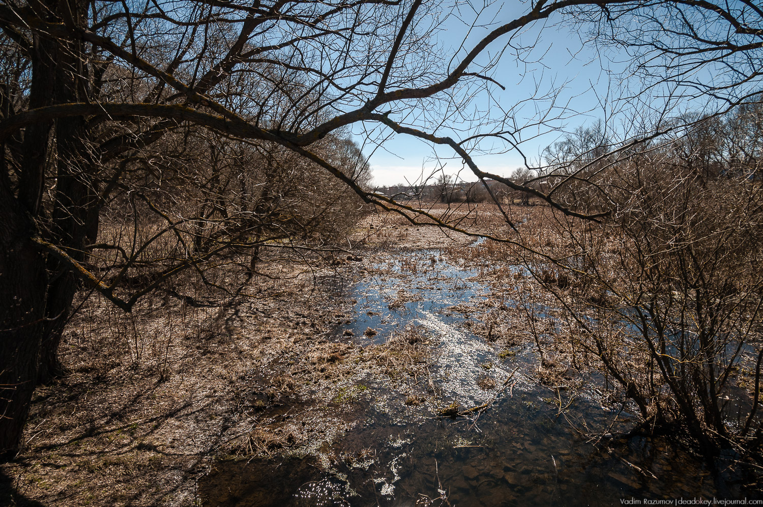 Богородицк, Церерина роща