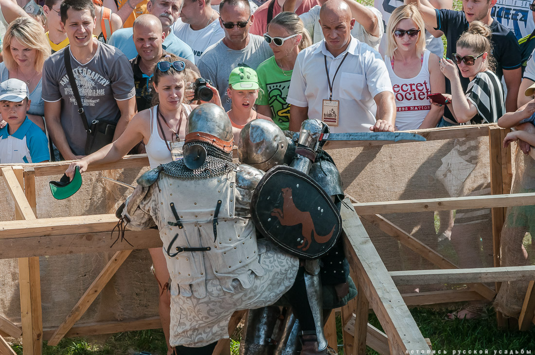 Зарайский ратный сбор VI 30 июля 2016 года, г. Зарайск