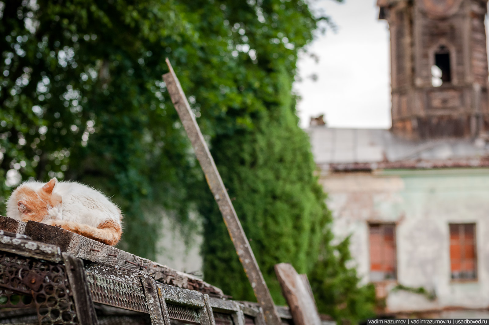 усадьба Колосово Пасхаловых, Тульская область, Алексинский район
