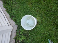 bucket full of water