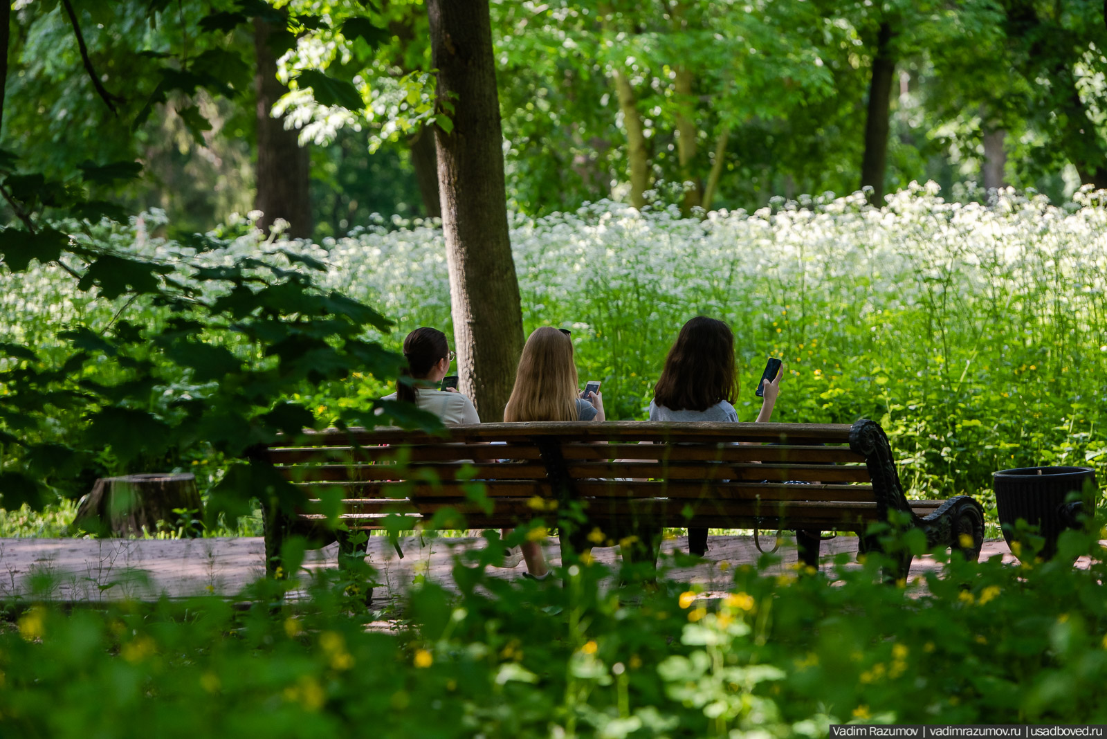 Богородицк, Тульская область