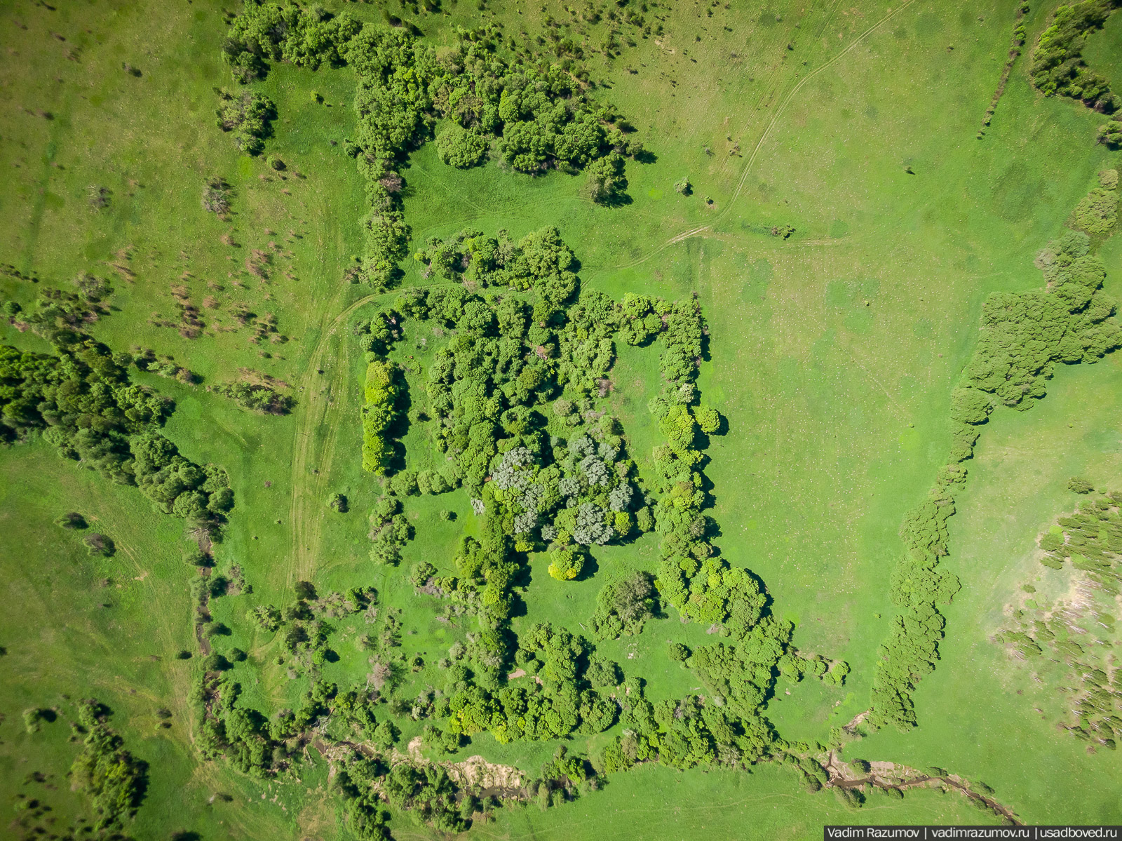 Старое Глазово, могила Василия Баженова, 2021 год