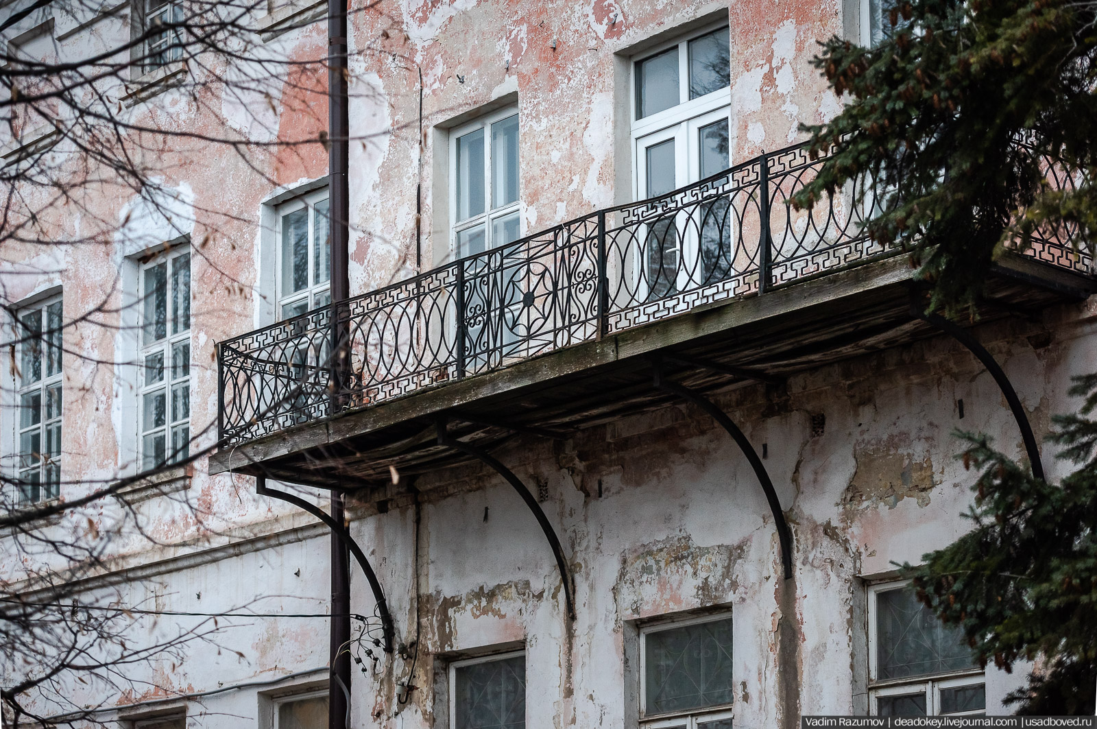 Лебедянь