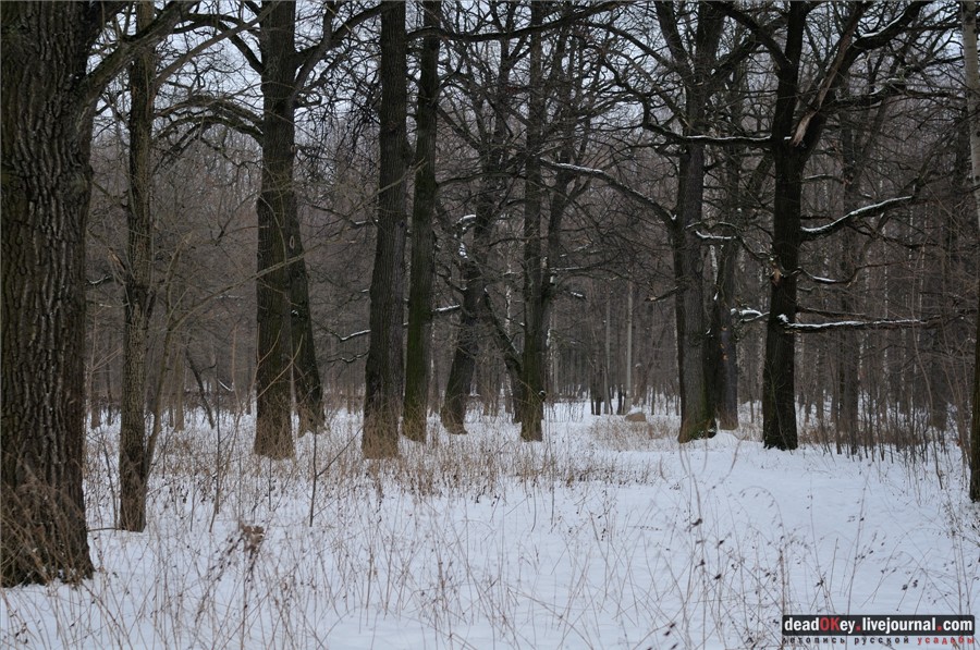  усадьба Гиреево