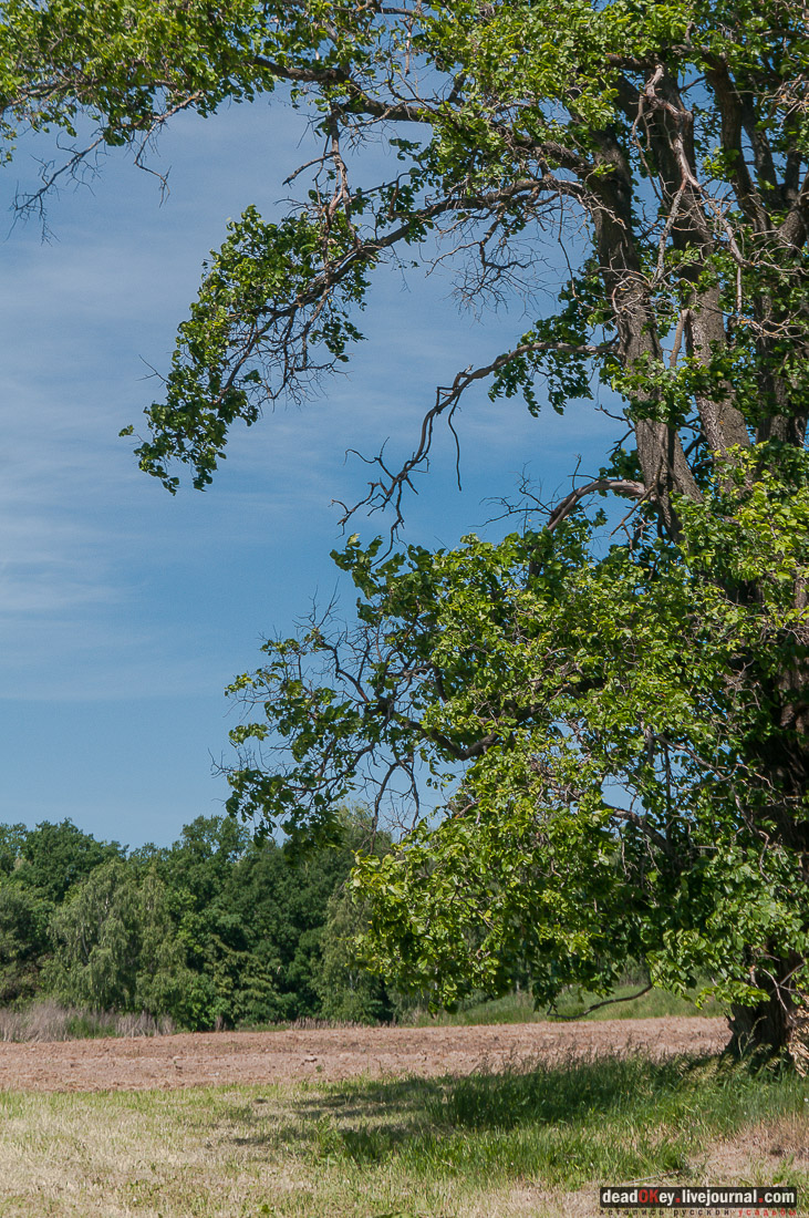 усадьба Мещерино