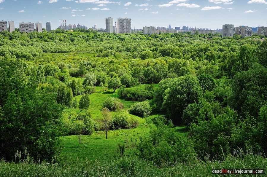 усадьба Братцево