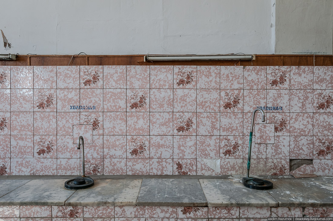 Петергофские конюшни