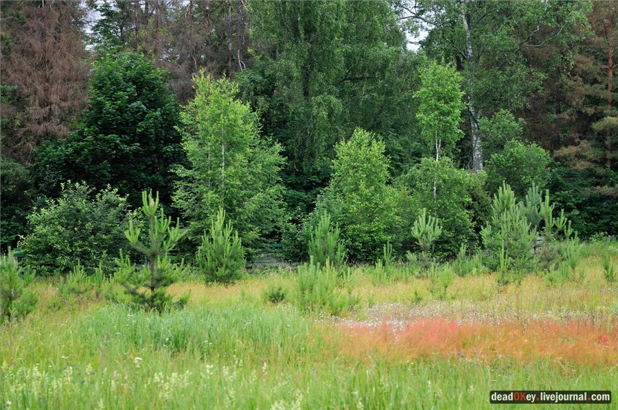 усадьба Паньково