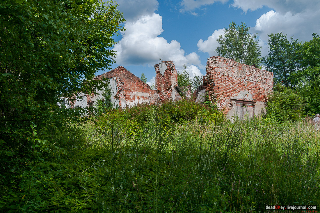усадьба Баташевых, Гусь-Железный