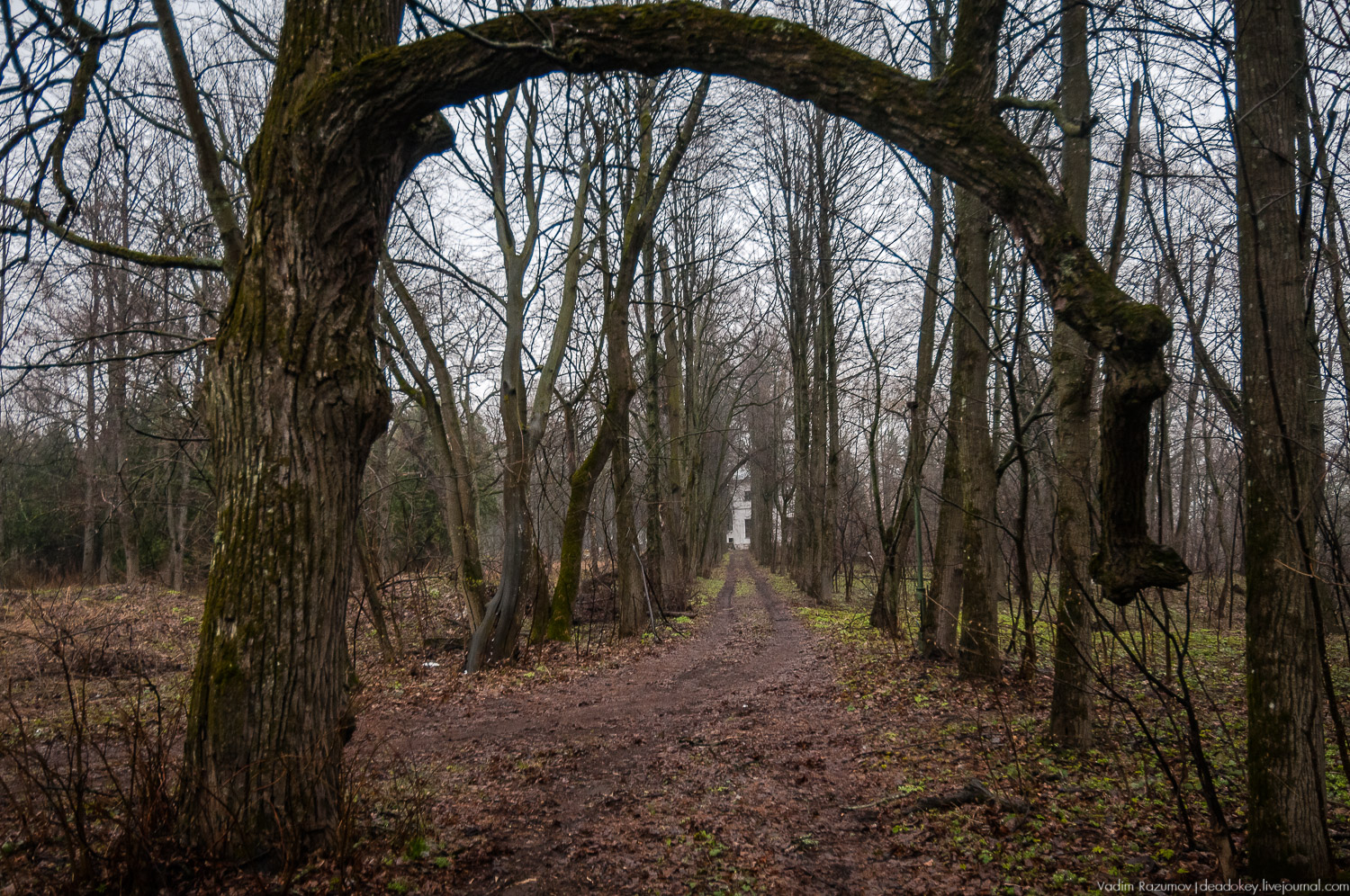 усадьба Петрово (Дурнево, Петрово-Дальнее), Красногорский район, Московская область