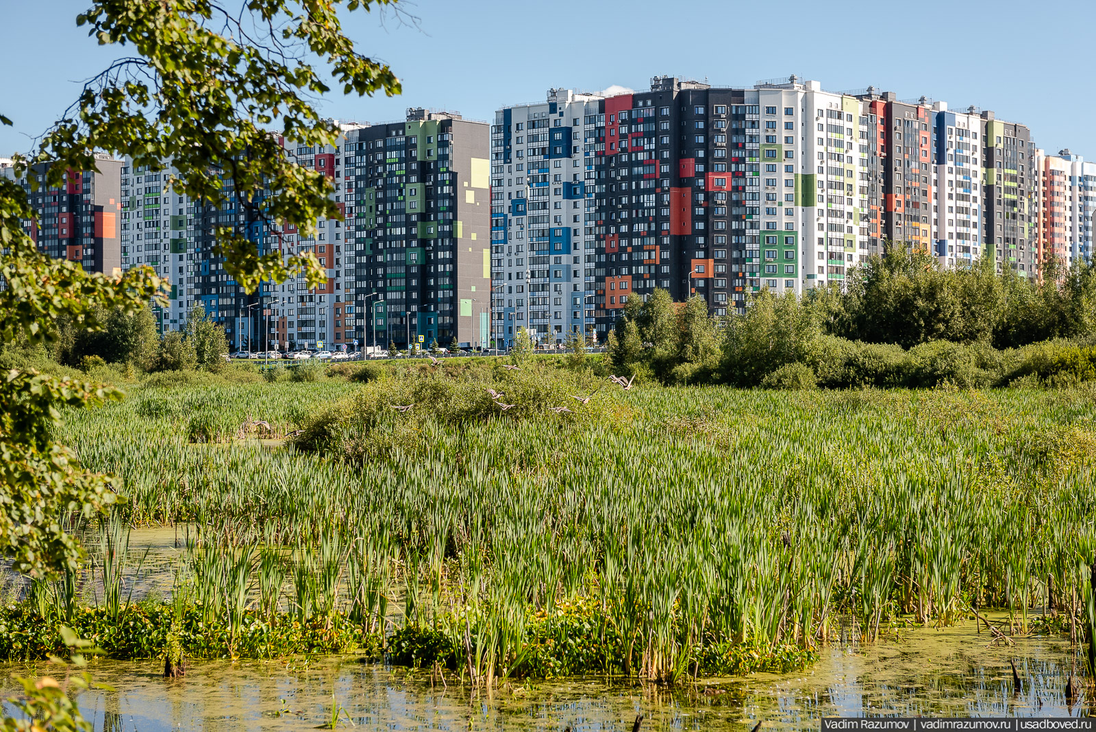 Усадьба Заболотье, парк, курганы, Долгопрудный, Москва