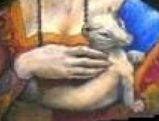 [slow zoom in toward figure]