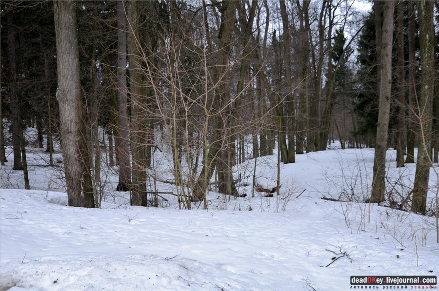 усадьба Воробьево