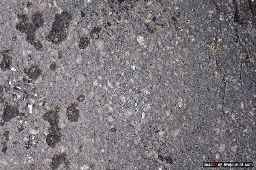 усадьба Костино Сабашниковых