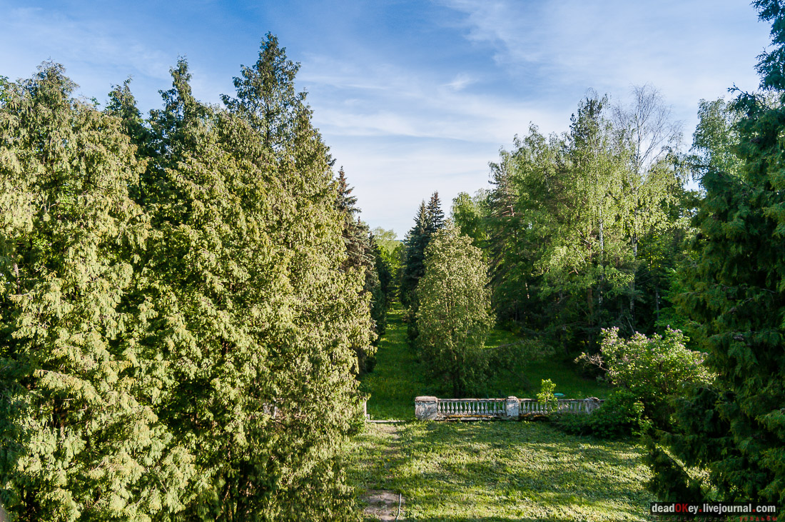 усадьба Мамоново, Сколково, Гусева полоса