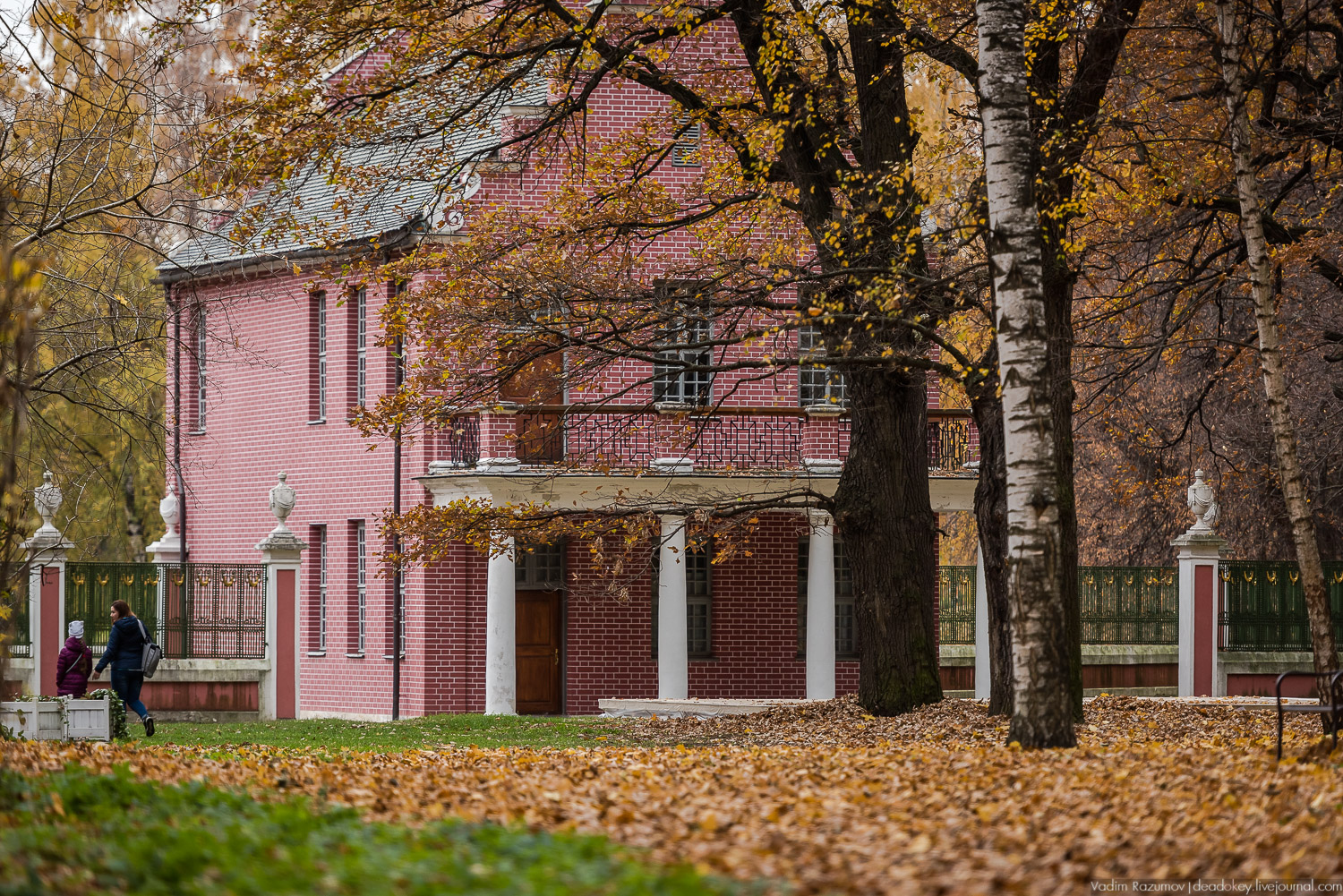 усадьба Кусково, осень 2018 года
