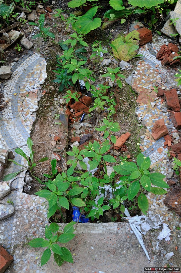 усадьба Глинки Якова Брюса (пансионат Монино)