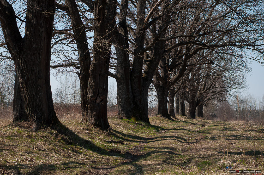 усадьба Савинское (исследование масонского парка)