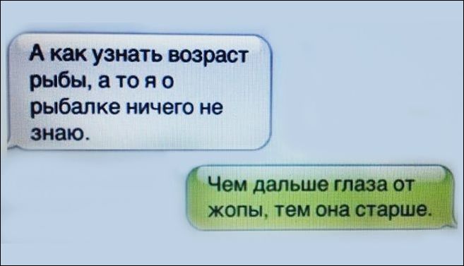 Перлы - 314 головы, Таблетка, канале, Гражданин, диване, Заряжаемся, информацию, будут, жизни, ситуации, прикольные, всяческие, ТикТоке, читаем, интересную, познавательную, хорошим, околополитические, обсуждаем, языком