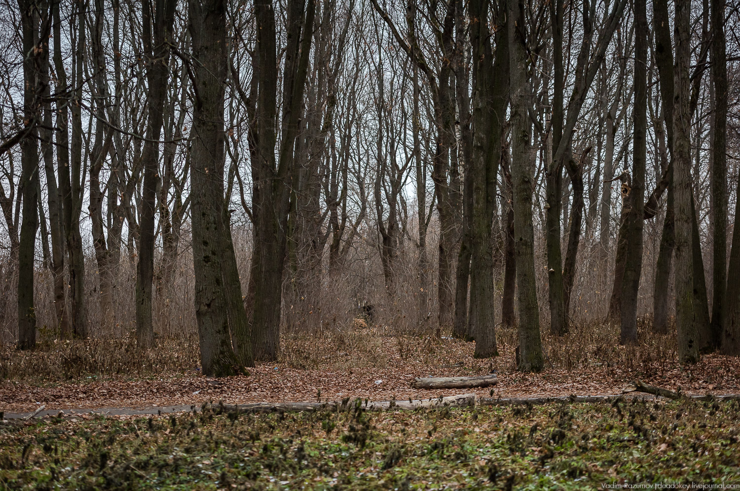 усадьба Бобрики Бобринских, Донской, Тульская область, музей