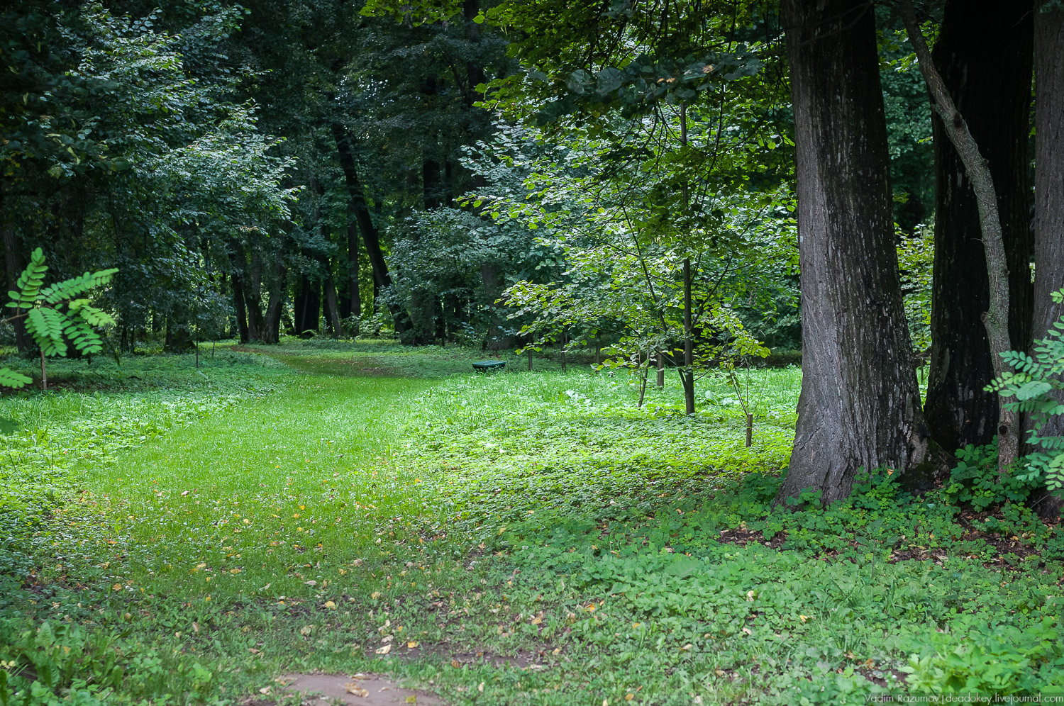 усадьба Даровое, Зарайский район, Ф.М. Достоевский