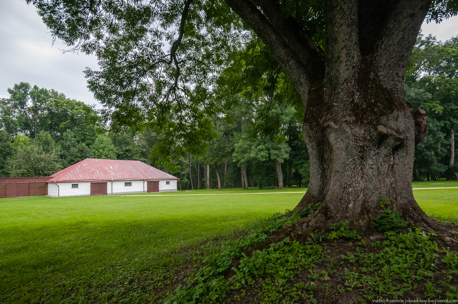 усадьба Спасское-Лутовиново И.С. Тургенева, юбилей Тургенева 200 лет, Орловская область