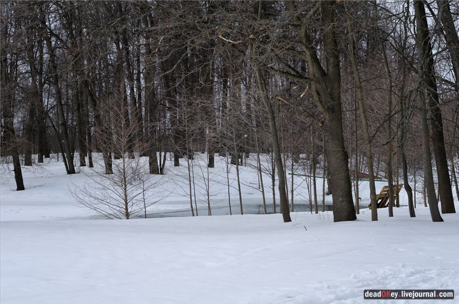 усадьба Райки