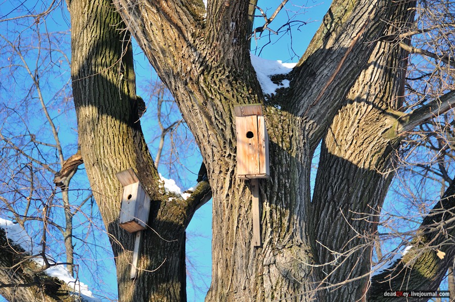 усадьба Архангельское-Тюриково