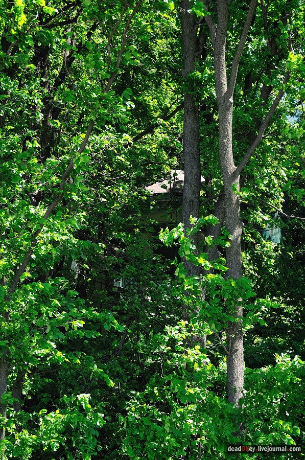 усадьба Братцево