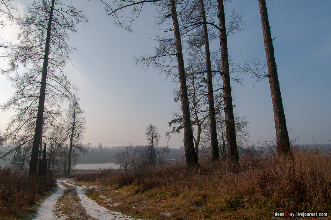Усадьба Глебово-Брусилово