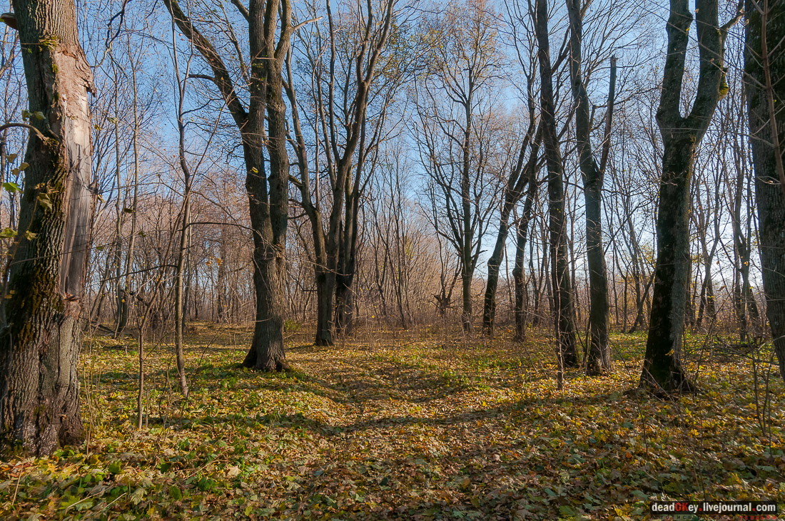 усадьба Полибино