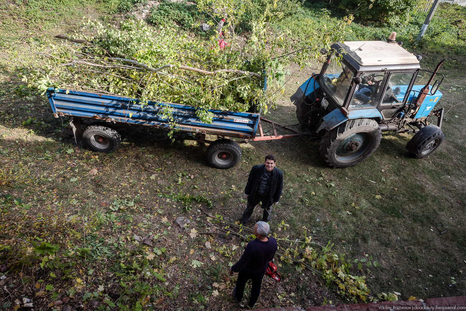 усадьба Полибино, Липецкая область, Усадебные волонтеры 21 сентября 2019 года