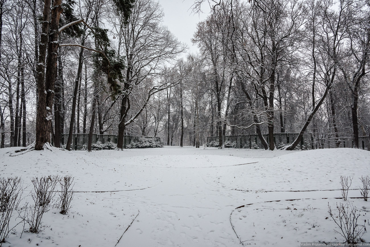 Усадьба Кусково зимой, 2018 год