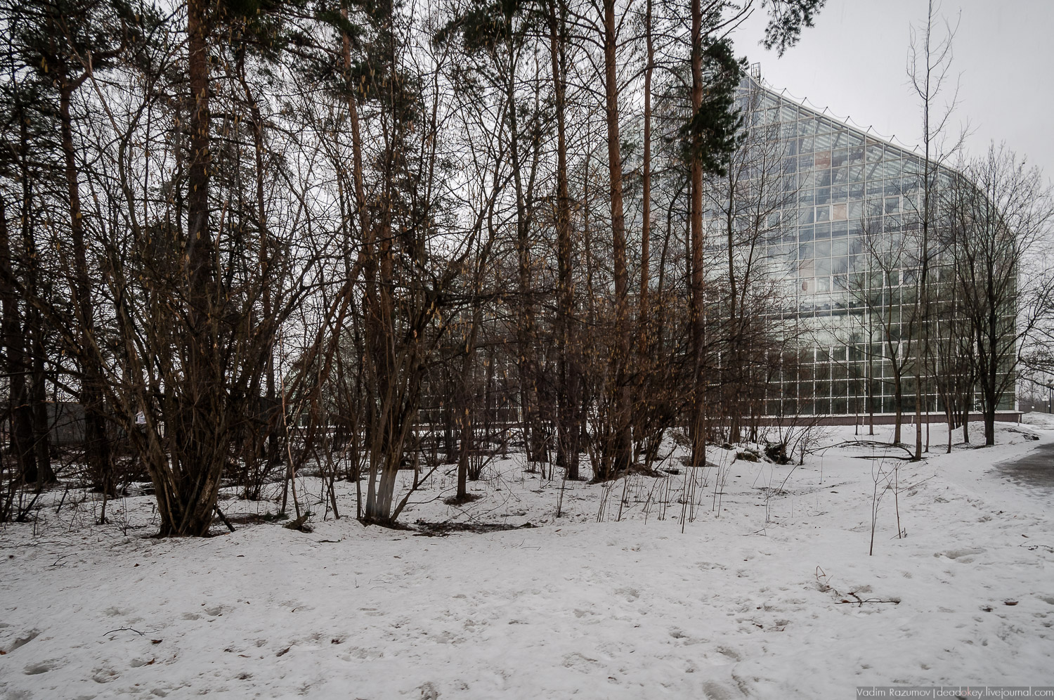 Ботанический сад, фондовая оранжерея, Экоэлектричка, борщевик