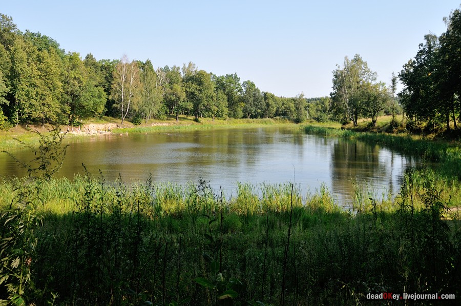 усадьба Шишкино