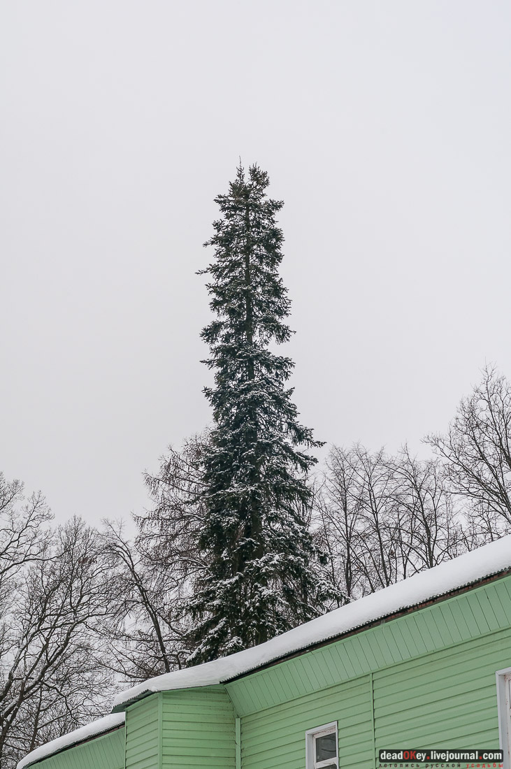 усадьба Васильевское-Скурыгино