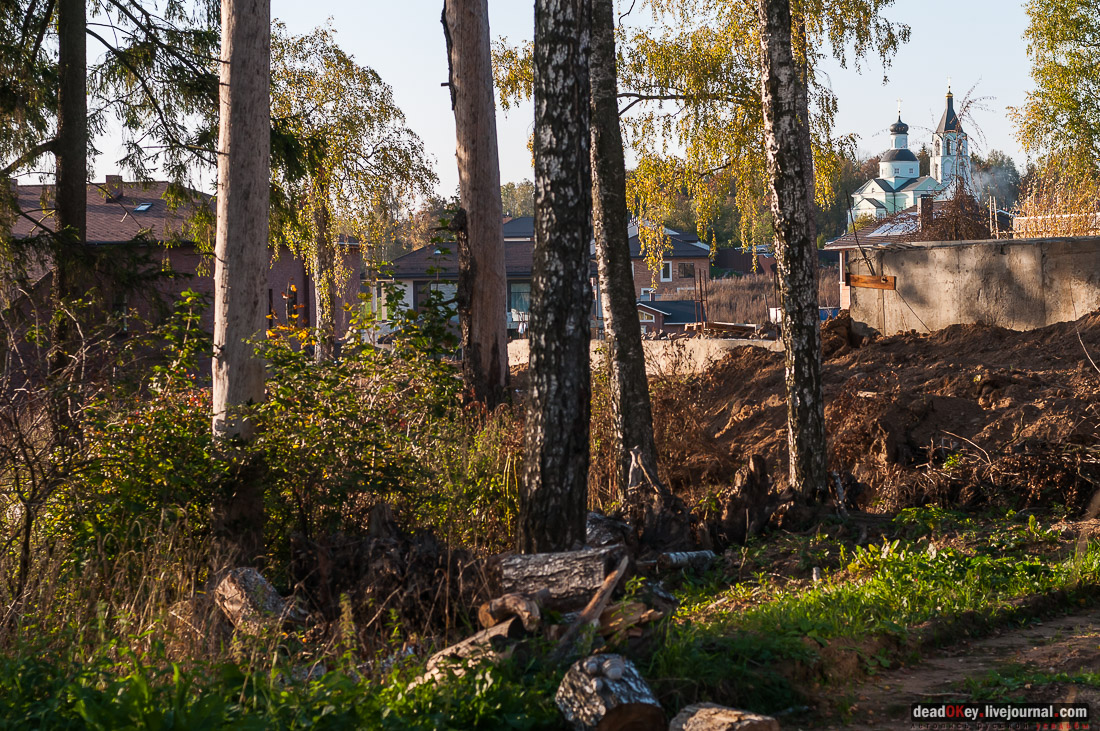 усадьба Бергов